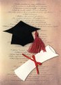 Baci afstuderen
